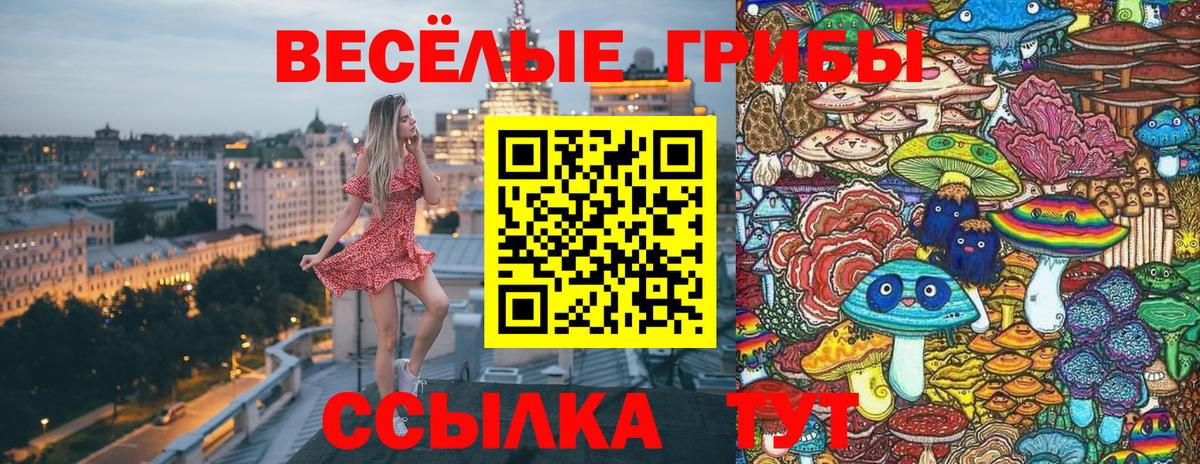 Сургут  Галлюциногенные грибы Psilocybine cubensis  Вход с VPN  Галлюциногенные грибы мицелий 